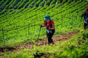 BIB: 
                            <button type="button" onclick="openModal(19162091)" class="btn btn-primary btn-sm float-right btn-popup" data-toggle="modal" data-target=".modal-high-quality">
                        <i class="fas fa-shopping-cart"></i> Add to Cart
                    </button>
                                            <button type="button" onclick="isThisMe(19162091, true)" class="btn btn-success btn-sm float-right btn-popup btn-isme hidden" data-toggle="tooltip" data-placement="bottom" title="นี่คือรูปของคุณใช่ไหม คลิกที่นี่เพื่อเอาเข้าอัลบั้ม">
                        <i class="fas fa-plus"></i> Add to album
                    </button>
                    <button type="button" onclick="isThisMe(19162091, false)" class="btn btn-warning btn-sm float-right btn-popup btn-isnotme hidden">
                        <i class="fas fa-ban"></i> Remove from album
                    </button>